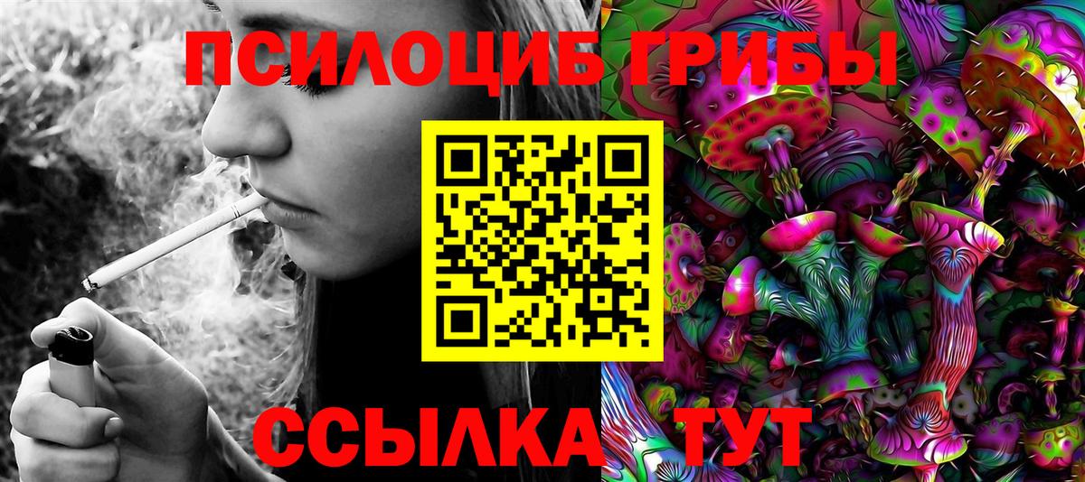 Галлюциногенные грибы прущие грибы Новочебоксарск