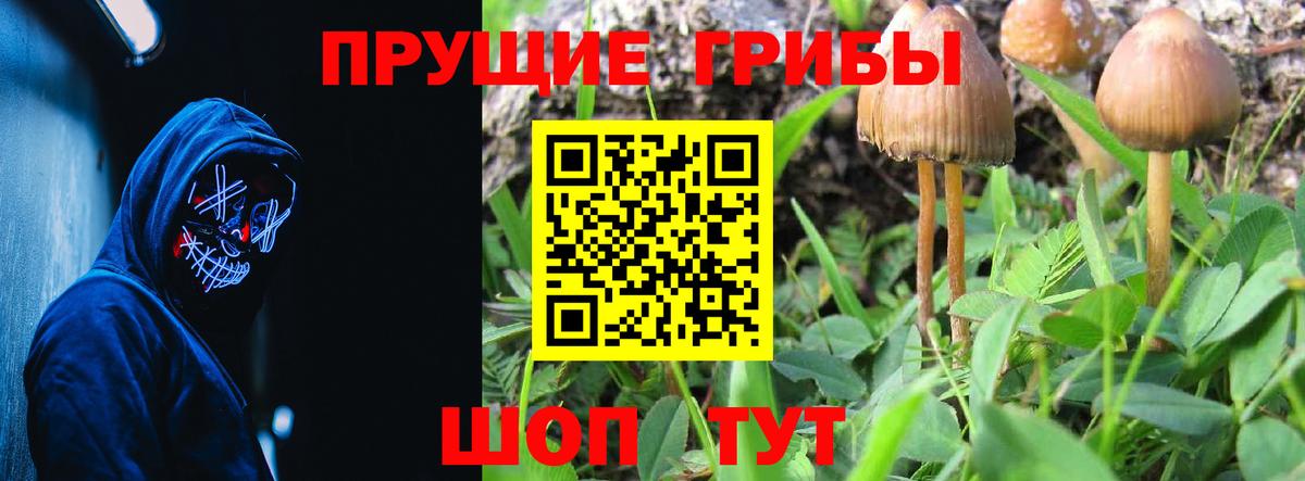 Новочебоксарск  Галлюциногенные грибы MAGIC MUSHROOMS  Вход с VPN  Псилоцибиновые грибы Cubensis 